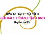 Bài 1.7 SGK Toán 12 tập 1 Kết nối tri thức